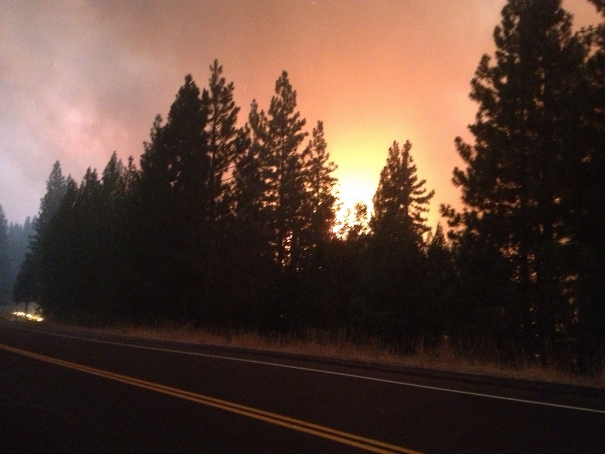 Rim Fire Photo 7